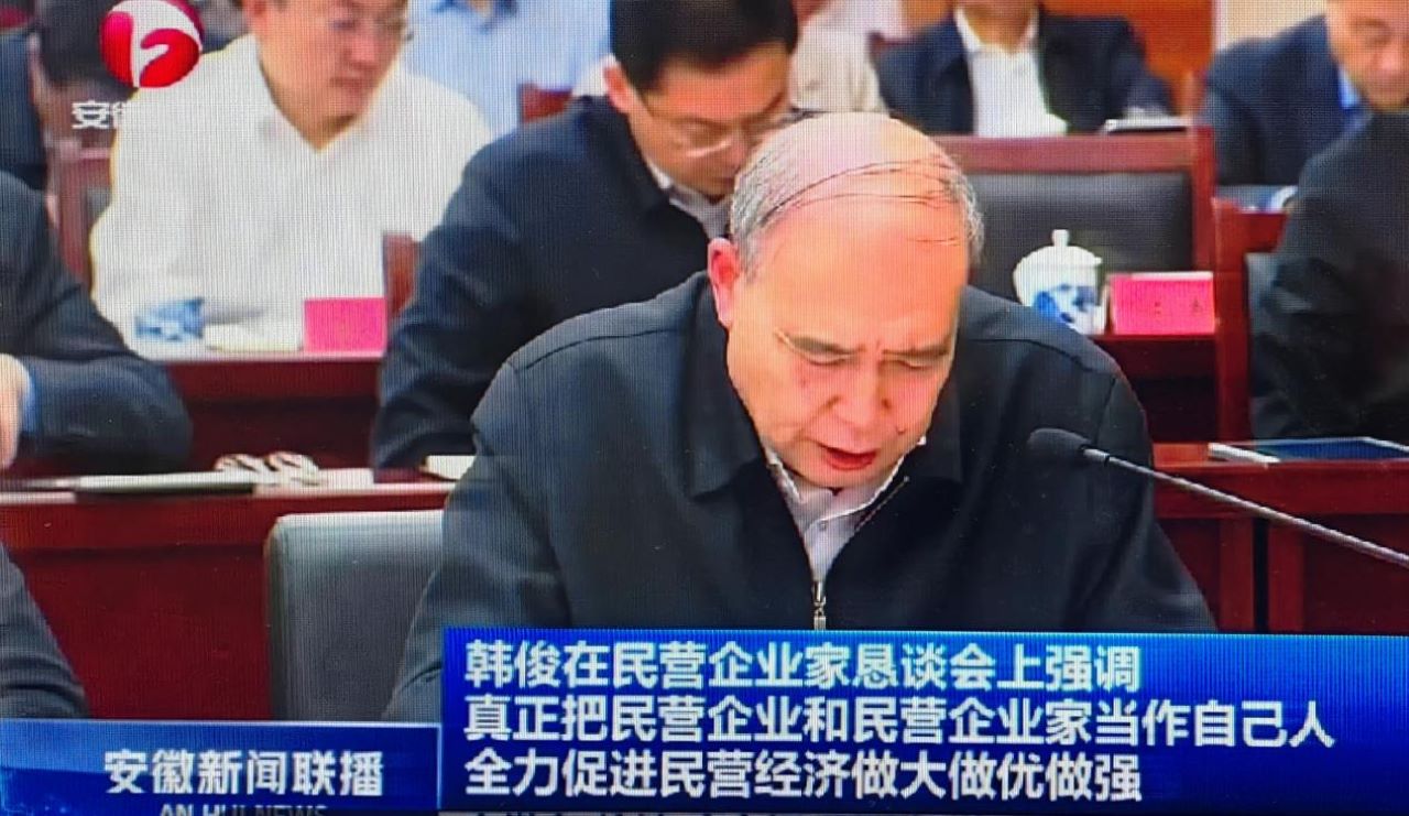 01-圖為皖南電機黨委書記、副董事長管兵在作重點發(fā)言。（視頻截圖）
