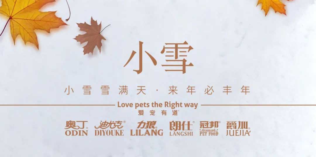 小雪丨天地初寒，歲月安暖