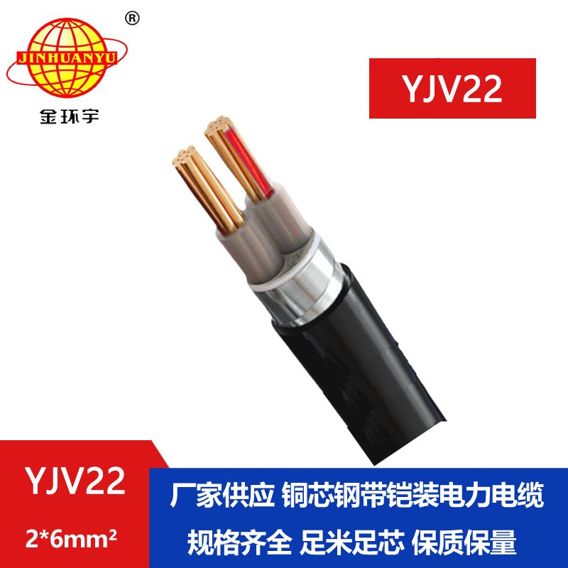 金環(huán)宇電線(xiàn)電纜 中低壓鎧裝電力電纜 2芯YJV22 2