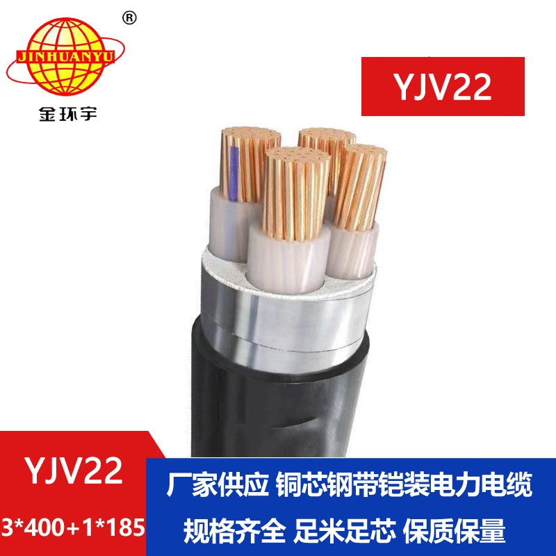 金環(huán)宇電線(xiàn)電纜 YJV22-3