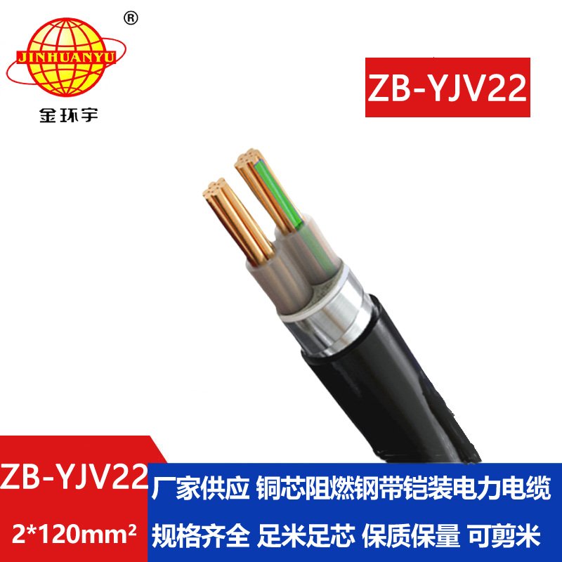 金環(huán)宇電纜 2芯鎧裝電纜 深圳阻燃鎧裝電纜ZB-Y